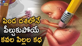 పిండ దశలోనే  పీల్చుకుపోయే  కవల పిల్లల కధ - The Vanishing Twin Syndrome..! | Eyecon Facts