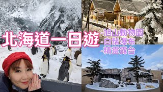 出國旅遊vlog- 北海道自由行參加巴士一日遊/旭山動物園 白鬚瀑布 森林精靈露台| 依娃Evalife