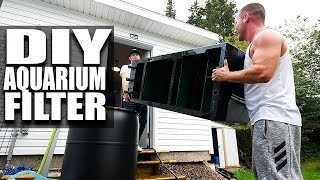 IT WORKS! DIY Aquarium filter complete and fish fed! | The King of DIY