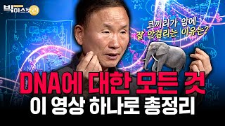 🌟과학브런치🌟코끼리가 암에 잘 안걸리는 이유는 인간과 '이것'이 다르기 때문이다? [#박문호박사의빅히스토리 ] #8회 #풀영상 (24.11.22 방송분)