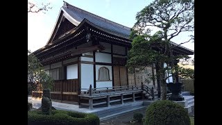 浄見寺　大岡越前守菩提所