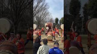 礼侍 武蔵国府太鼓 響会 郷土の森 梅祭り2017