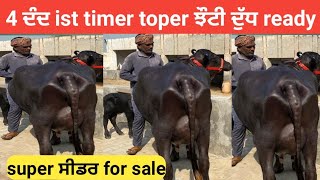 #99154-56054# 4 ਦੰਦ ist timer toper ਝੌਟੀ ਦੁੱਧ ready#