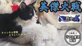 【英傑大戦】白虎配信。烈士ぽよぉ～先生から騎馬単を学ぼう🐈【IN長野BeeGames】