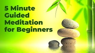 5 Minute Guided Meditation for Beginners | Simple Calming Meditation