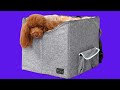 Before You Buy Petsfit Dog Car Seat, Pet Travel Car Booster Seat