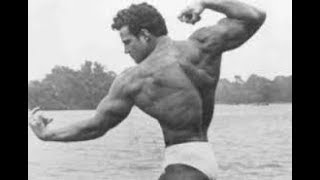 Developing the Back by Steve Reeves