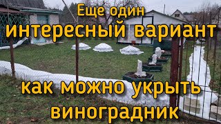 Интересный и удобный вариант укрытия виноградника на зиму