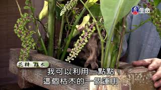 佛心花海_温柔似華_李麗淑老師_(lifetv_20200629_11:00)