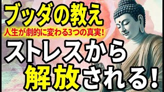 【ブッダの教え】人生のほとんどのストレスから解放される！あなたの人生が劇的に変わる3つの真実！