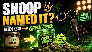 The Cannabis Strain Snoop Dogg Accidentally Made Famous
