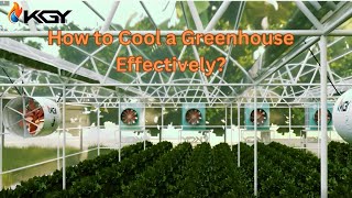 Best Greenhouse Cooling System for Hot Climates : how it works