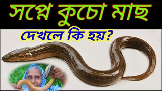 স্বপ্নে কুচো মাছ দেখলে কি হয় !  স্বপ্নে মাছ দেখলে কি হয়? স্বপ্নে কি মাছ দেখলে কি হয়। kuco mash.