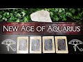 How your LIFE CHANGES in this New Age of Aquarius! ♒️ 🎯❤️‍🔥🍀🐦‍🔥💰Pick A Card + Astrology Reading🌌