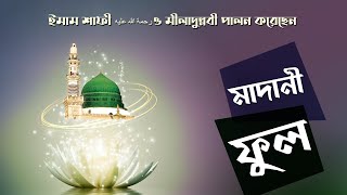 Madani Phool┆ইমাম শাফী رحمه الله عليه ও মীলাদুন্নবী পালন করেছেন┆Madani Channel Bangla