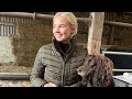 FARM TOUR| showing local farmers round our farm 🐄