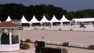 European Dressage Championship J/Y 2013. Anne Meulendijks / President's MDH Avanti (NED)