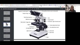 Lab 2: Microscopy