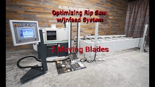 2015 Weinig Raimann Variorip 310 M Optimizing Rip Saw w/Infeed System (2 Moving Blades)