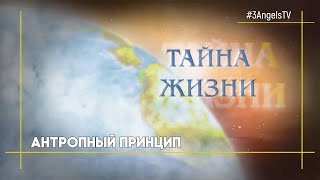 Антропный принцип | Тайна жизни