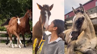 Cute Foals Compilation pt 7