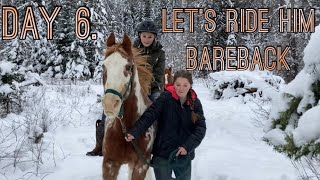 First time bareback on rescue horse Kodiak.