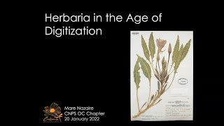 Herbaria in the Age of Digitization with Mare Nazaire Ph.D.