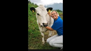 Norvège : Kristin, paysanne fromagère à Tingvoll ost et les fromages norvégiens .