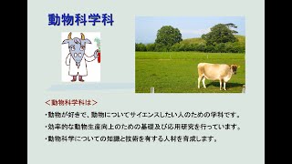 農学部　動物科学科　紹介動画