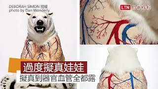 擬真過頭的動物絨毛娃娃 連器官血管通通做出來！