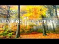 11 HRS Incredible Fall Foliage - Best 4K Autumn Nature Scenes from Around the World + Calming Music