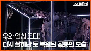 [오늘의세계] 우와 엄청 크다!... 다시 살아난 듯한 공룡의 모습