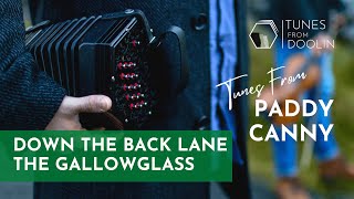 Down The Back Lane / The Gallowglass (Jigs from Paddy Canny) 🎶☘️