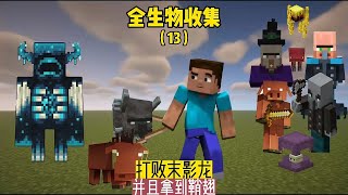 All Creatures Collection (13): Defeat the Ender Dragon and get the Elytra