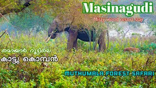 കുടുംബവുമായി വീണ്ടും മസിനഗുഡിയിലേക്ക് | Mistywoods resort stay \u0026 Muthumala forest safari