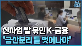 신사업 발 묶인 K-금융...\