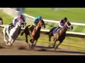 American Pharoah - Haskell Invitational (Gr.1)