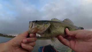 December Bass Fishing in East Texas