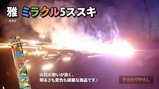 5変色する手持ち花火♪雅ミラクル5ススキ【eはなびやさん】