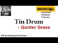 Tin Drum By Gunter Grass Summary In Malayalam