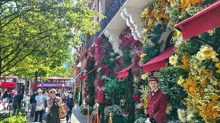 LONDON: CHELSEA IN BLOOM 2024 🍓 ‘Floral Feasts’ Flower Displays, Kings Road & Sloane Square 🌺 4K HDR