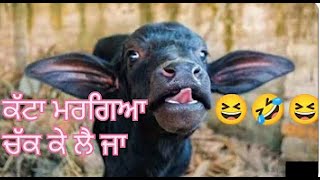 katta margea chak ke le ja funny punjabi audio 1080p