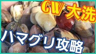 【潮干狩り】GWで行く前に見て‼大洗ハマグリ攻略【サバイバル】