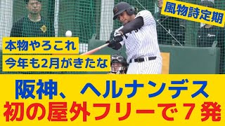 【阪神】ヘルナンデス、キャンプ初日から柵越え7発！ 推定130メートル弾に大きな拍手