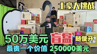 【疯狂土豪挑战】50万美元盲盒随便开，世界最贵盲盒直接开箱！