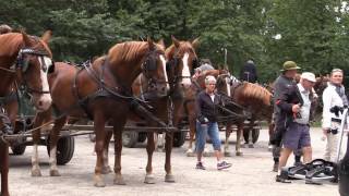 bornholm i videoklip