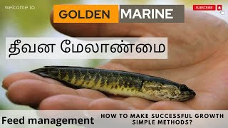 மீன் தீவன மேலாண்மை #fishfarming #funny #fish #trending #viral #tamilnadu #shorts #technology