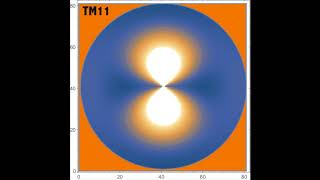 TM modes in a metallic circular waveguide