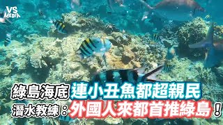 綠島海底連小丑魚都超親民 潛水教練：外國人來都首推綠島！《VS MEDIA x欸你這週 》