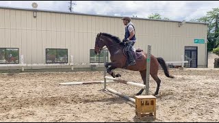 障害飛越レッスン　田中インストラクター